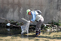 川の中でのゴミ収集作業