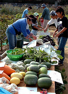 無農薬野菜の販売を準備