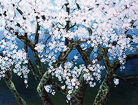 第25回ima展(1999年)に出展、「春の彩」(吉野山)