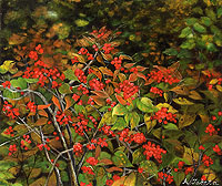 第25回ima女流選抜展(2004年)に出展、「晩秋の里山(檀(まゆみ)の実)」