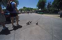 ディズニーランドにて