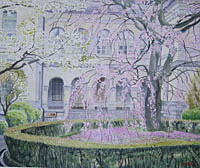 京都府庁の桜