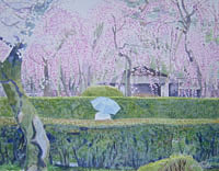 東山の桜