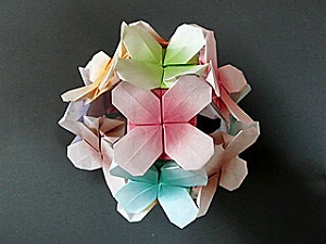 菜の花
