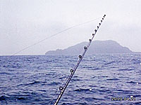 釣り舟から冠島を望む