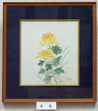 黄　菊