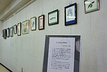 「ふれあいルーム」での展示風景