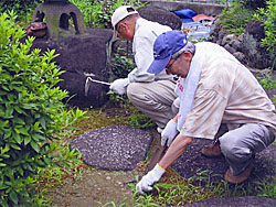 無心になって草取りに専念する会員