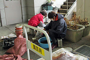 土をふるってポットに詰める作業に専念
